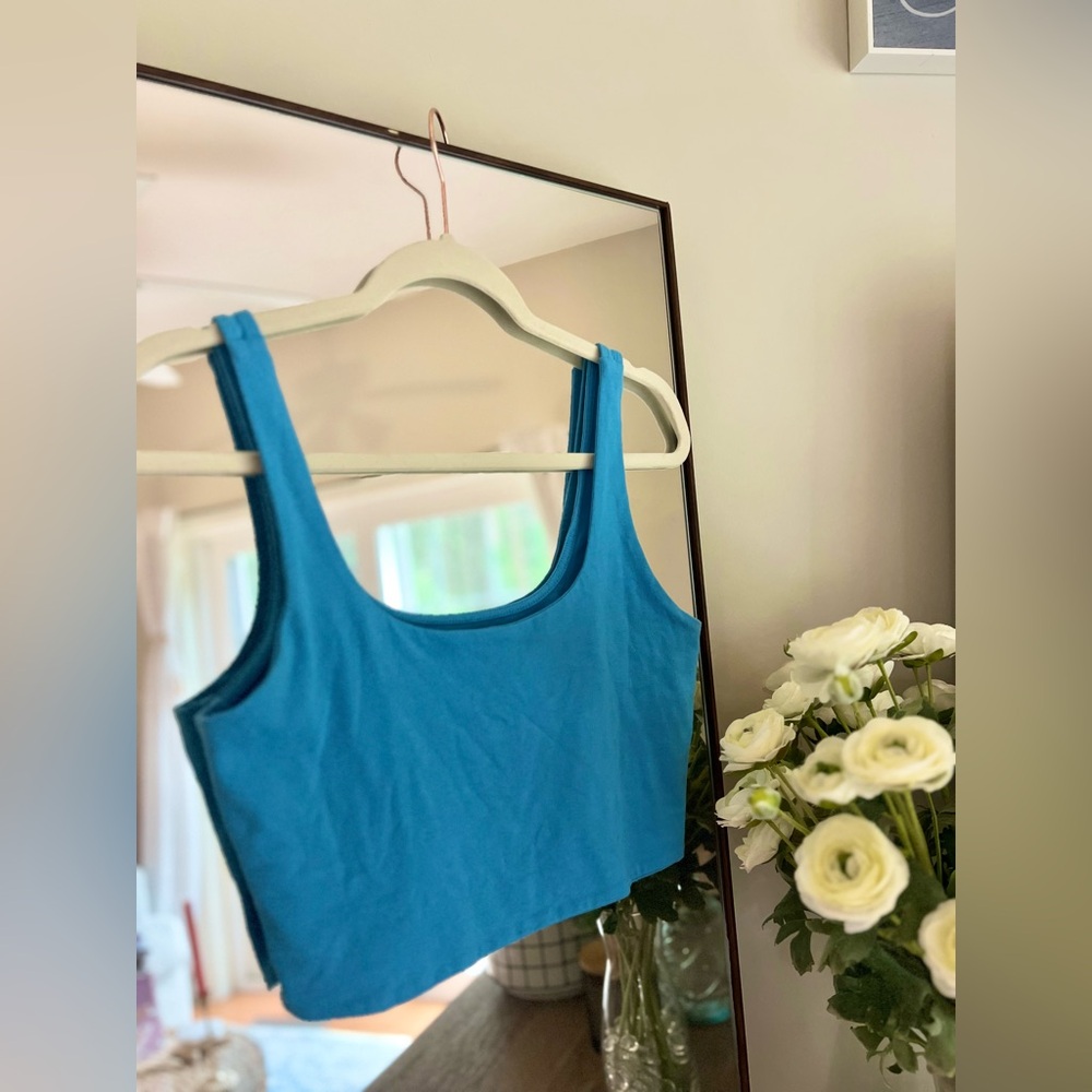 Wild Fable crop top